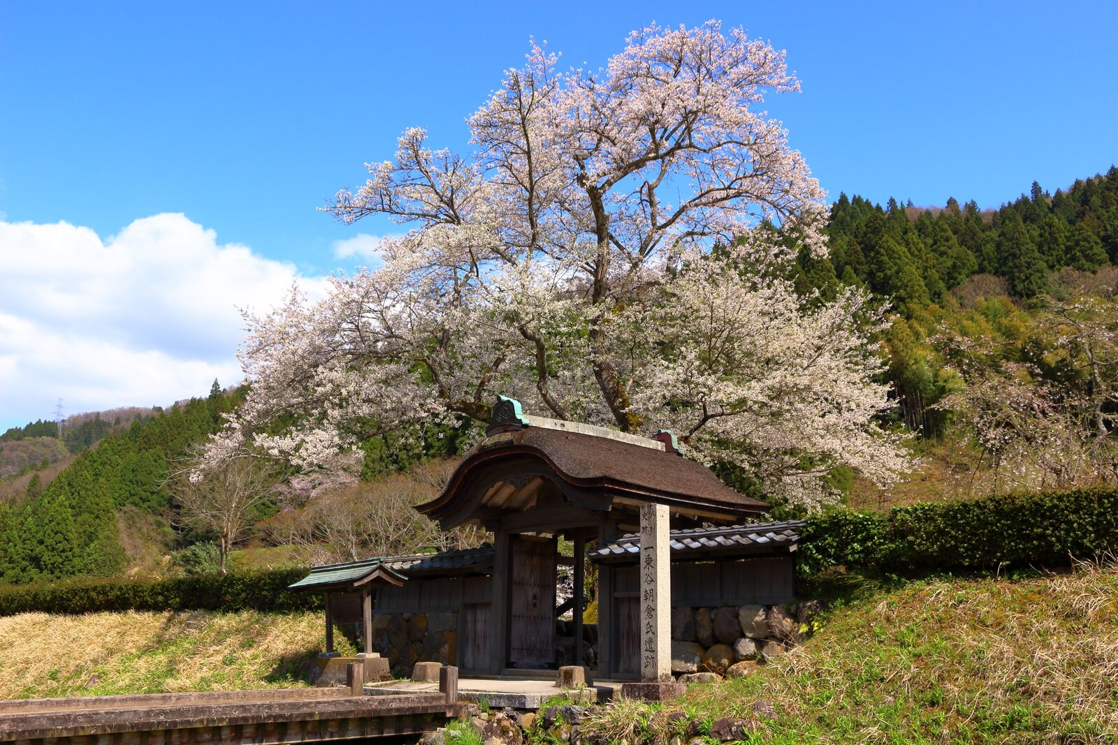 一乗谷朝倉氏遺跡