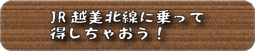 JR越美北線に乗って得しちゃおう！