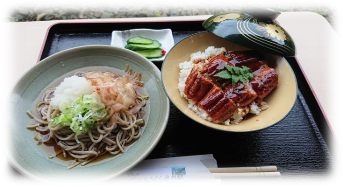 Echizen Oroshi Soba & Eel Bowl Set