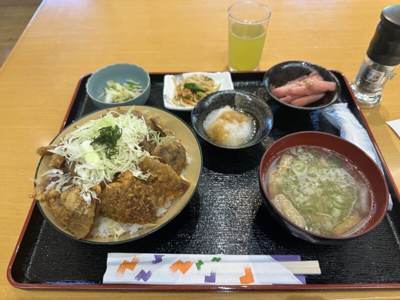 Soy-Sauce Boar Katsudon