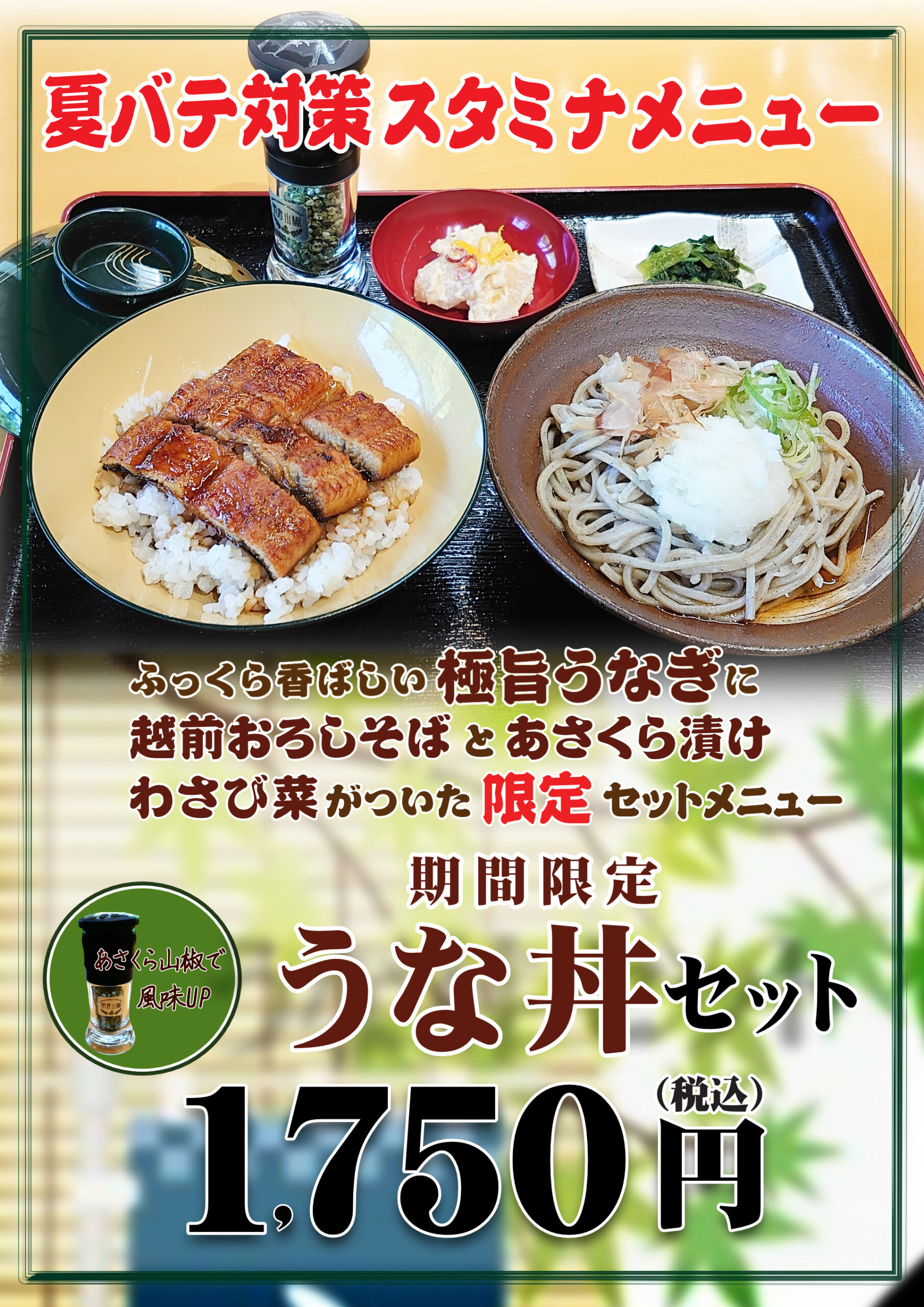 Echizen Zaru Soba & Eel Bowl Set