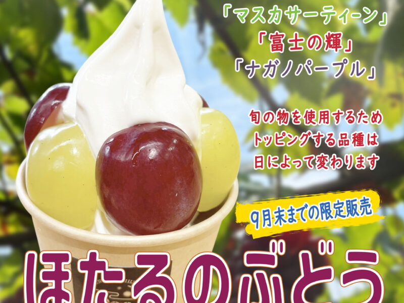ほたるのぶどうソフト