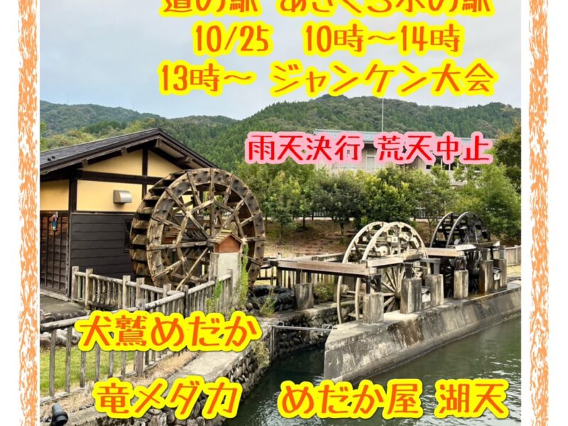 越前めだか祭り 2026